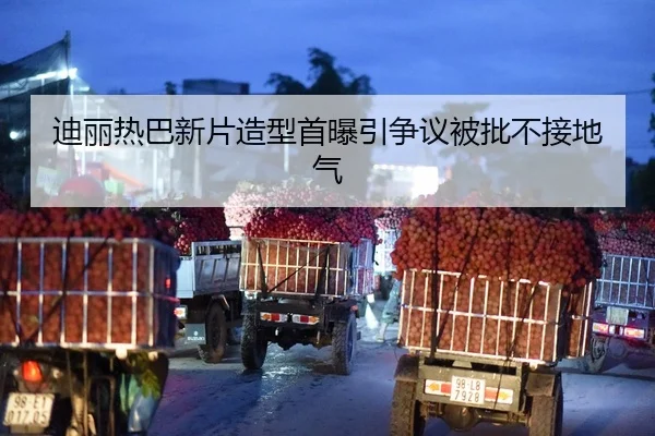 di-li-re-ba-xin-pian-zao-xing-shou-pu-yin-zheng-yi-bei-pi-bu-jie-di-qi-2-603.jpg
